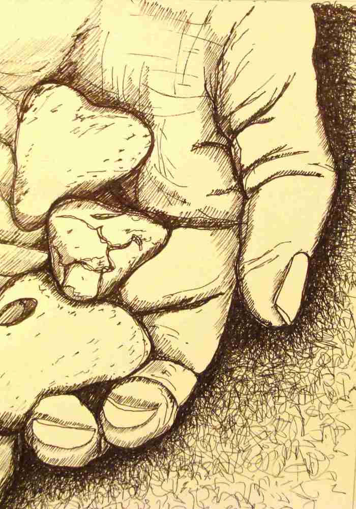 daily art enrichments
