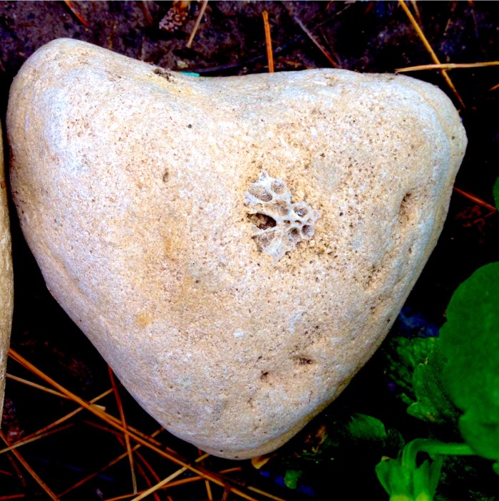 heartrock