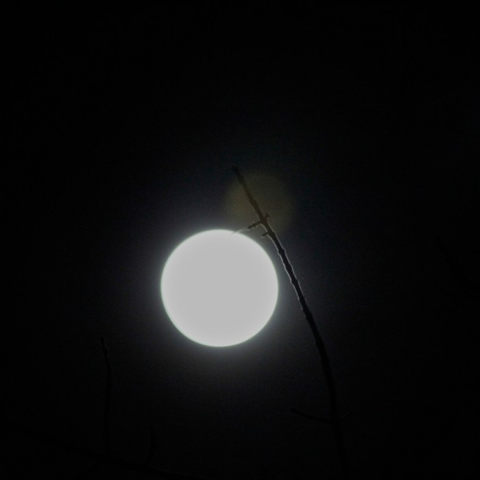 new year full moon