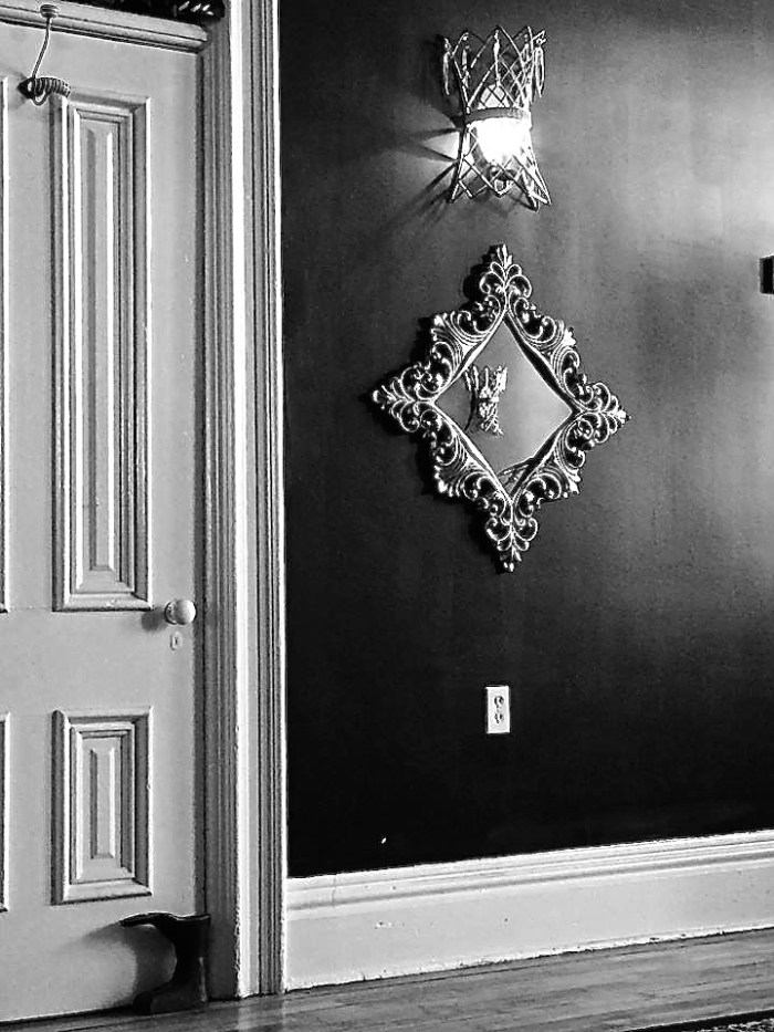 1476098_10204254832513384_6225445775248800809_n