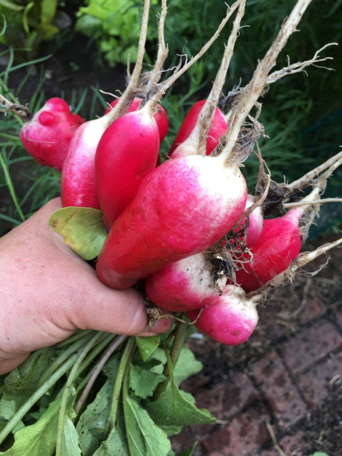 4AB299AA-5476-4775-82EC-D462F077F4E8