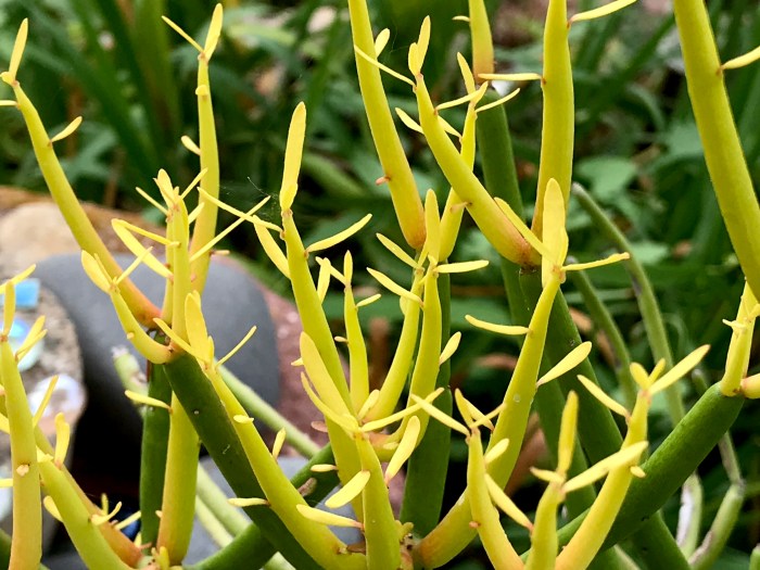 E93C6F5B-316C-4AC8-8C42-B318EC195C7F